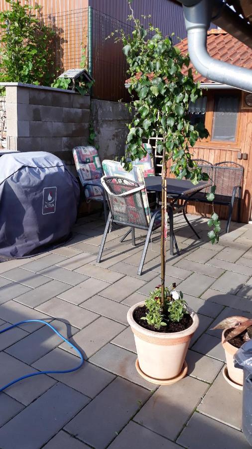 Apartman U Potoka Sadov 외부 사진